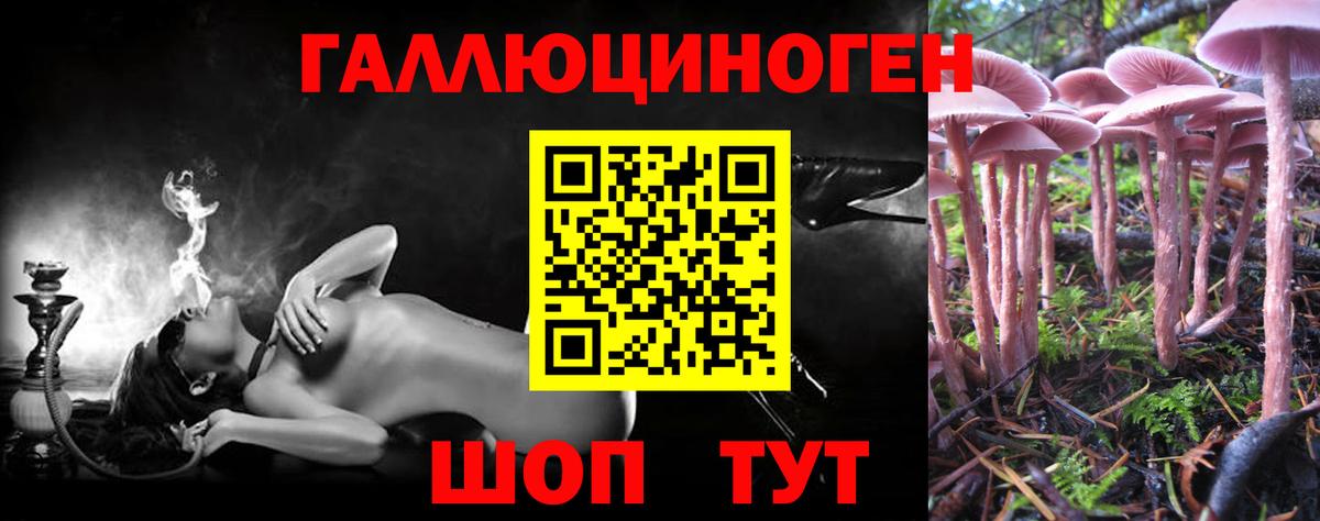 Псилоцибиновые грибы Cubensis  Вход с VPN  Дербент 